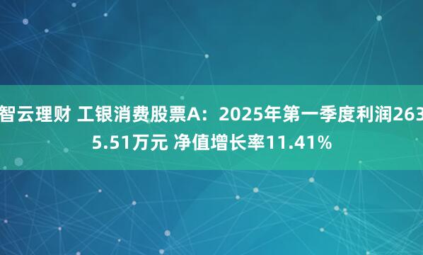 智云理财 工银消费股票A：2025年第一季度利润2635.51万元 净值增长率11.41%