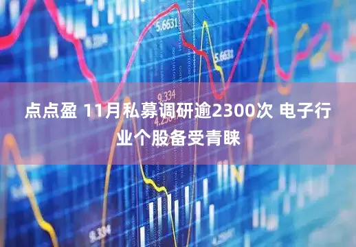 点点盈 11月私募调研逾2300次 电子行业个股备受青睐