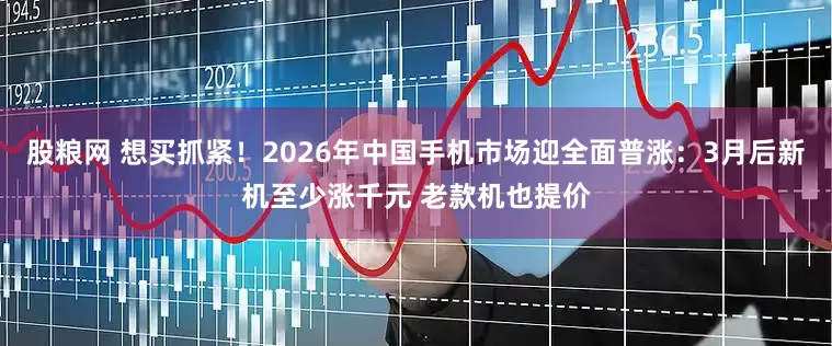 股粮网 想买抓紧！2026年中国手机市场迎全面普涨：3月后新机至少涨千元 老款机也提价